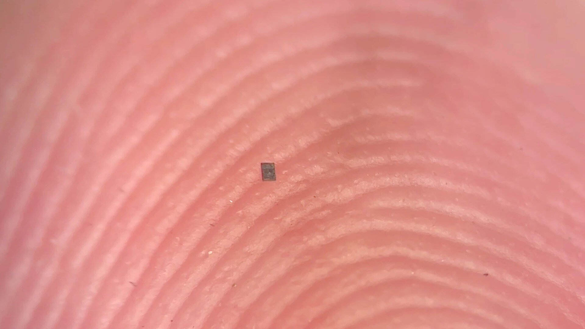 Учени създадоха най-малките в света автономни роботи, способни да мислят и действат самостоятелно